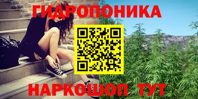 jwh Краснодар