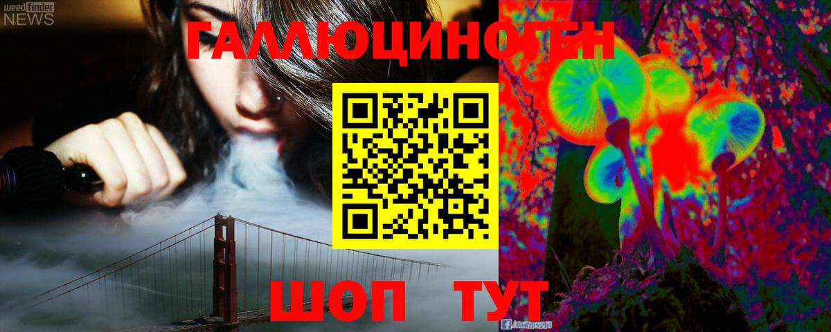Псилоцибиновые грибы Psilocybe Урай